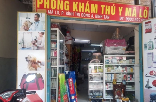 top 10 phòng khám thú y quận bình tân tốt, uy tín, chất lượng nhất