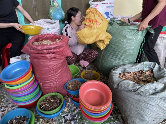ca mau city, city area, livelihood, local people, mung bean cake, pork skin cake, the important thing, the unique food and herbal market in the west only deals with… leaves