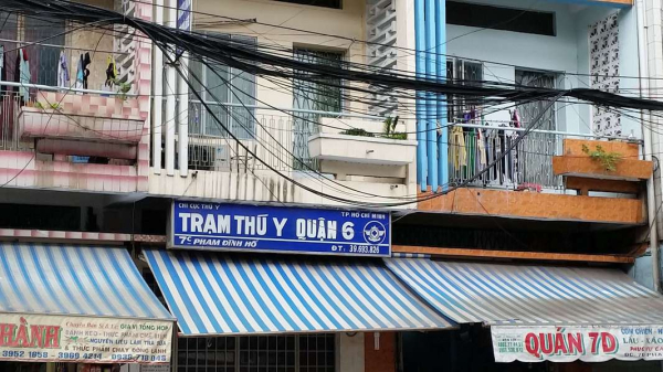 top 9 phòng khám thú y quận 6 tphcm uy tín, chất lượng nhất