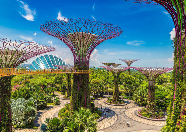 khám phá ngay 6 công viên xanh ở singapore được yêu thích nhất