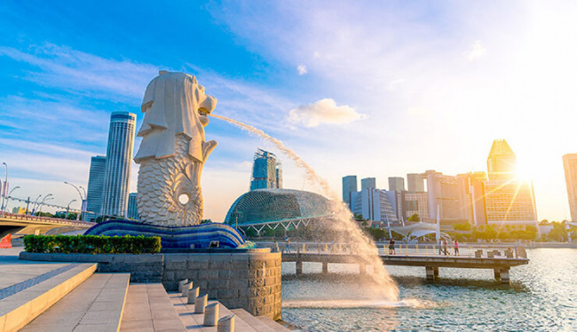 hãy khám phá công viên sư tử biển merlion park ở singapore