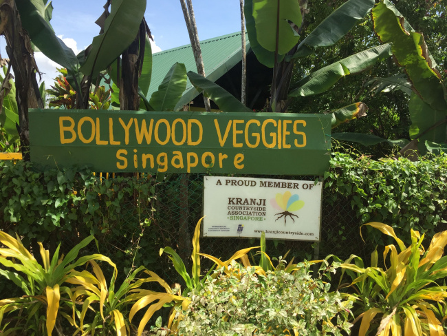 khám phá ngay top 5 các nông trại ở singapore