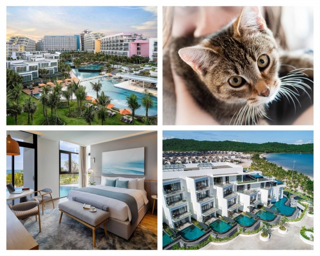 top 20 khách sạn phú quốc đẹp gần biển giá rẻ hot nhất 2022
