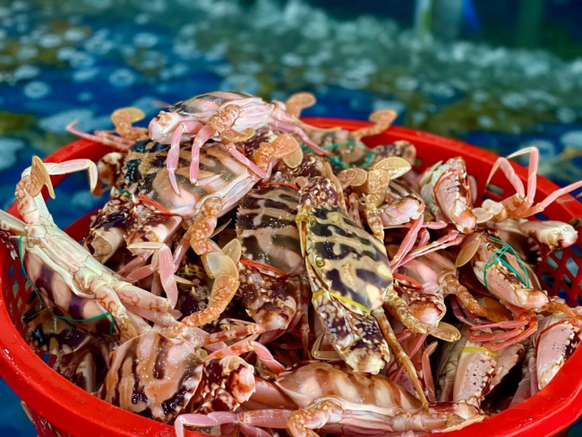 10 quán ăn hải sản tươi sống ở đà nẵng “không ngon không lấy tiền”