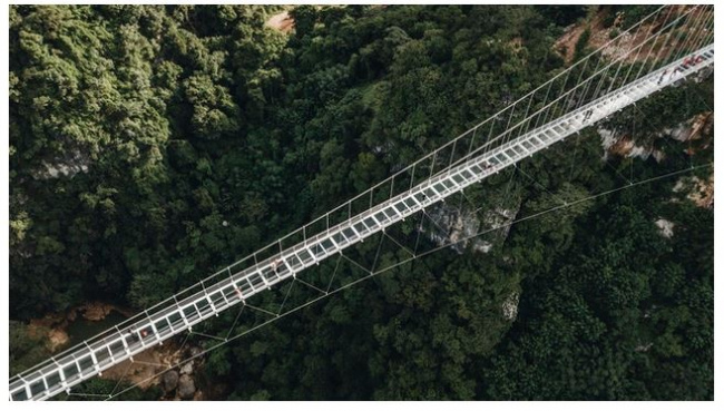 bach long glass bridge, glass bridge, glass bridge in moc chau, moc chau tourism, photography angle, world record, satisfied with the world’s longest and majestic pedestrian glass bridge between the mountains and forests of vietnam