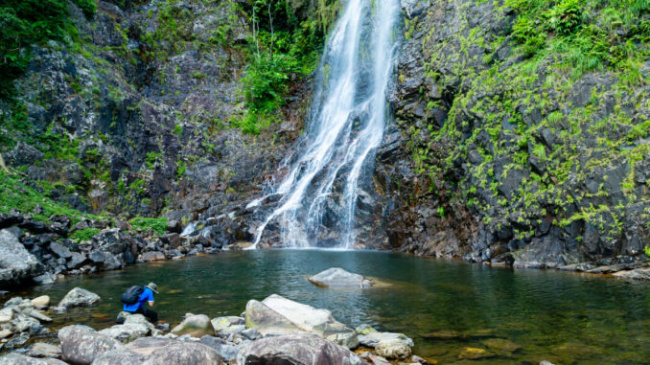 the waterfall is more than 100 m high in the middle of truong son forest