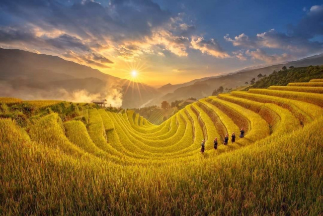 blind cang comb, save time, terraced fields, travel expenses, travel to blind cang comb, the northwest rice is ripe, pin the most beautiful climbing place to not be late for this year’s golden season