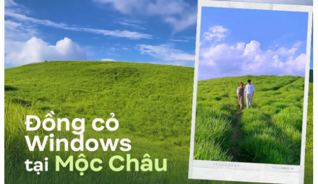 holiday, long vacation, moc chau farm, windows operating system, enjoying a long vacation, young people invite each other to “hunt photos” in the green meadow in the heart of moc chau