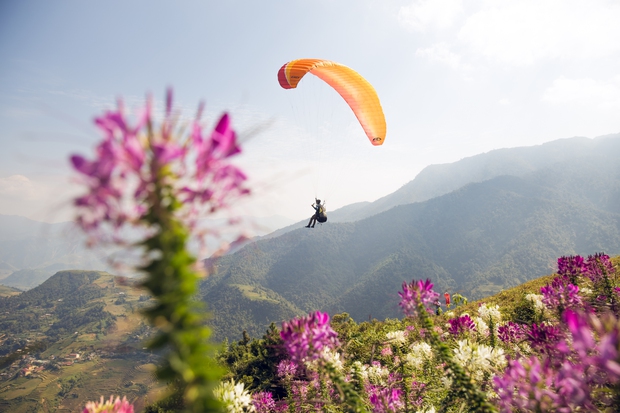 blind cang comb, harvest season, national day holiday, terraced fields, photo: national day holiday on september 2, go to yen bai to watch paragliders fly over golden terraced fields