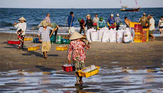 làng chài phước hải – níu giữ truyền thống biển việt nam