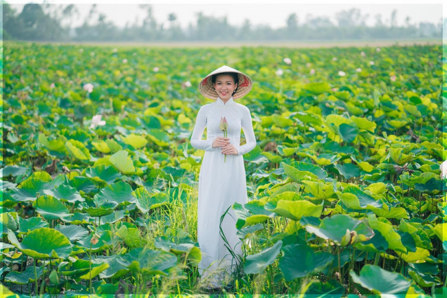 du lịch đồng tháp: những điểm đến thú vị bạn nên khám phá ngay