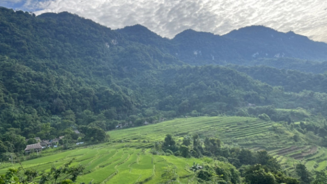 about pu luong, nature reserve, northwest direction, primeval forest, terraced fields, thai people, thanh hoa province, back to pu luong embrace the scenery of green mountains and blue water