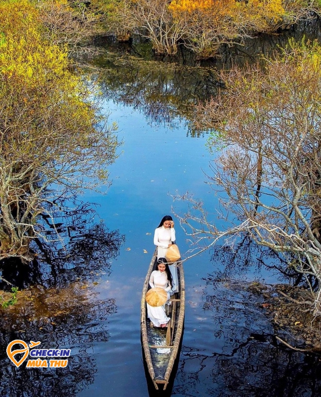 hue tourism, mangroves, southeast asia, in hue, there is a very rare and precious forest left in southeast asia