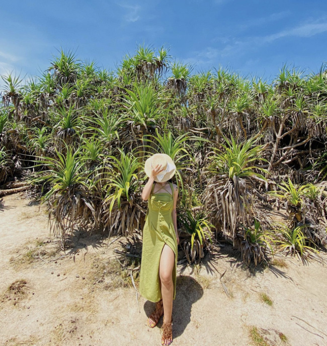 sea ​​island, sea of ​​vietnam, tourism, no need to go far to find paradise, vietnam’s sea islands are enough to make you swoon because of their beauty