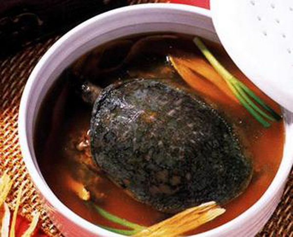 kinh hãi món súp rùa sống, ngon bổ nhưng ám ảnh cả đời