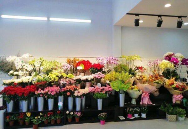 top 10 shop cửa hàng hoa tươi tp.hcm đẹp, chất lượng nhất
