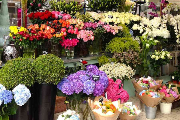 top 10 shop hoa tươi quận 8 tphcm nổi tiếng giao nhanh chóng