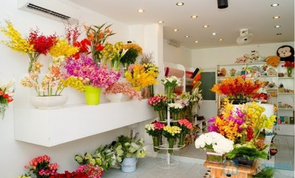 top 10 shop hoa tươi quận 12 tphcm giá rẻ nhiều mẫu đẹp