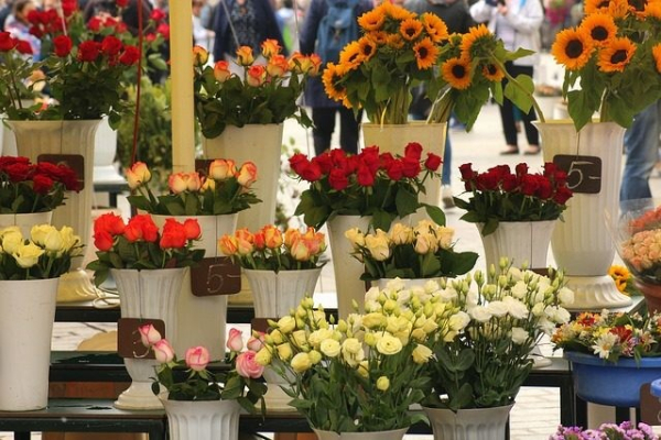 top 10 shop hoa tươi quận huyện cần giờ tphcm đẹp, uy tín