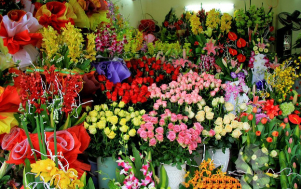 top 10 shop hoa tươi quận huyện cần giờ tphcm đẹp, uy tín