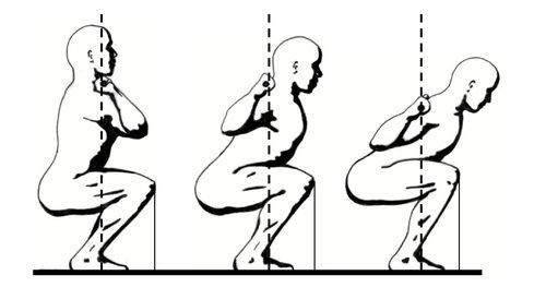 bài tập đùi và mông, cơ mông, kiến thức thể hình, squat, tập thể hình, video, squat là gì ? hướng dẫn tập squat đúng cách nhất