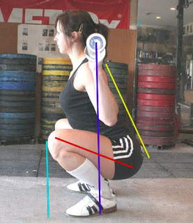 bài tập gym, kiến thức thể hình, những điều cần biết, squat, tập thể hình, tư thế tập squat đúng là như thế nào để vòng 3 nở nang nhanh nhất
