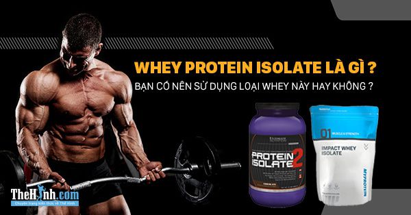 tập gym, thể hình, whey protein isolate là gì ? có nên lựa chọn để dùng cho tăng cơ