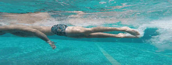 kiến thức bơi lội, hướng dẫn tự học bơi sải cho người mới bắt đầu