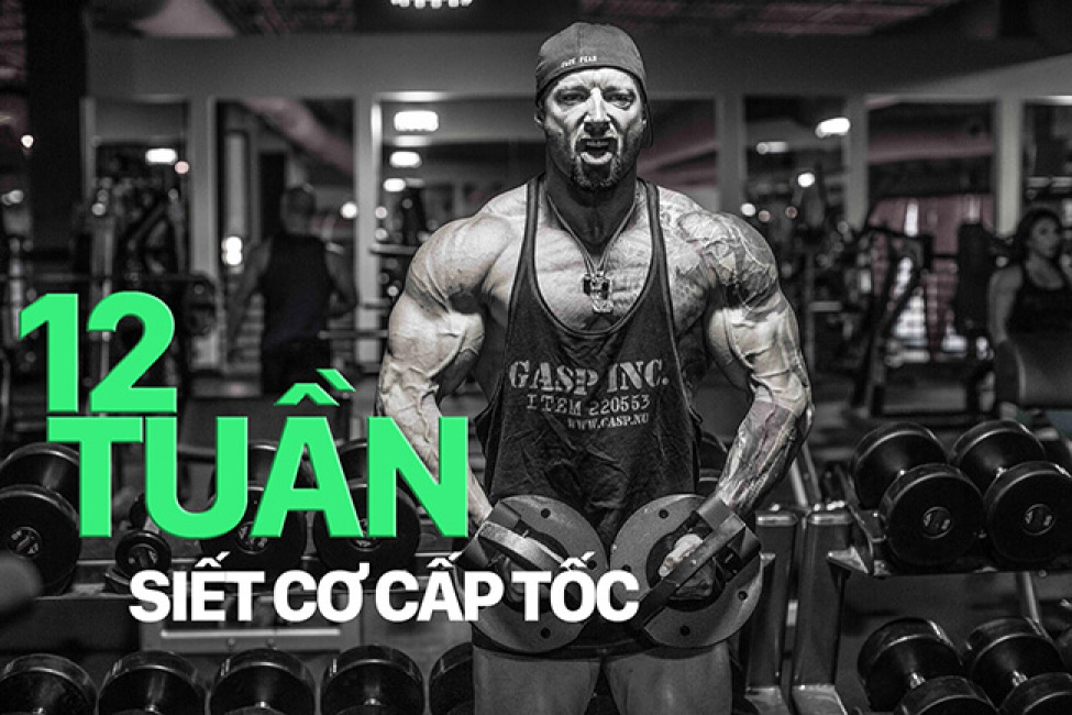 giảm cân, giáo án thể hình, lịch tập gym cho nam, tập thể hình, xả cơ và siết cơ, lịch tập siết cơ giảm mỡ cho nam trong 12 tuần – p1: tổng quan