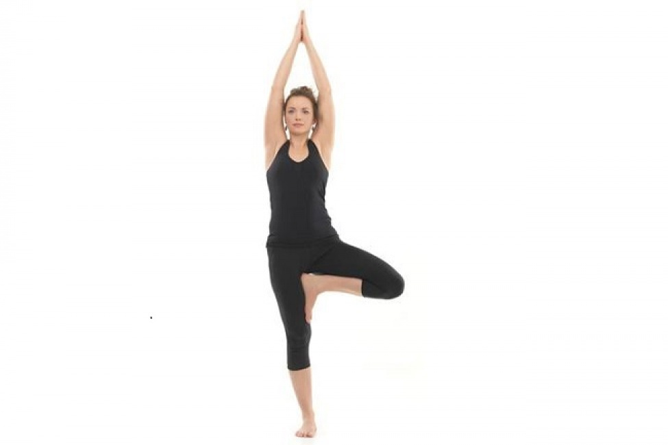 yoga cho người mới, yoga cơ bản, hướng dẫn tập tư thế cái cây – tree pose (vrksasana)
