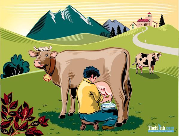 kiến thức thể hình, tập thể hình, uống sữa bò có tốt không, những tác hại của sữa bò mà bạn nên biết