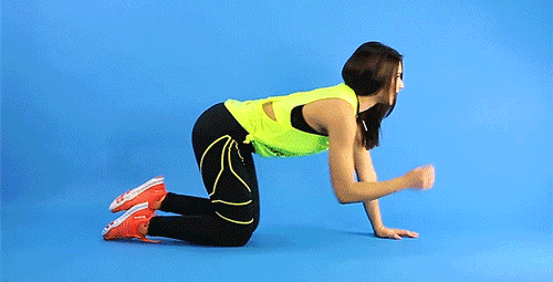 tập gym, thể hình, bài tập plank 5 phút cho nữ hiệu quả nhất để có bụng phẳng lỳ