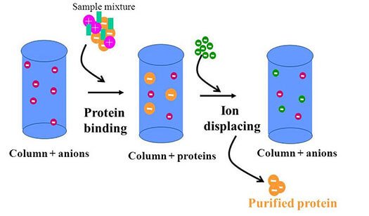 So sánh các công nghệ sản xuất whey protein hiện nay