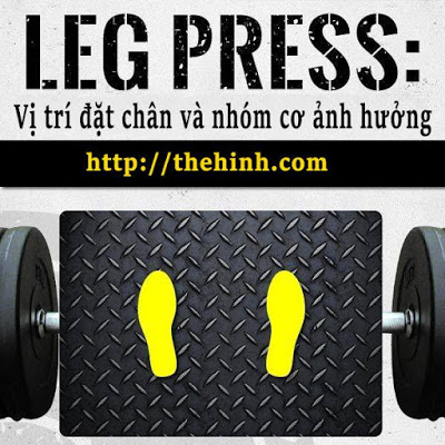 bài tập chân, bài tập chân cho nam, bài tập chân cho nữ, bài tập gym, cơ bắp chân, tập thể hình, leg press – bài tập cho đùi, bắp chân to khỏe