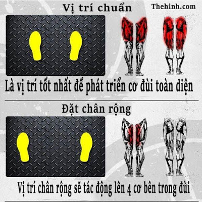 bài tập chân, bài tập chân cho nam, bài tập chân cho nữ, bài tập gym, cơ bắp chân, tập thể hình, leg press – bài tập cho đùi, bắp chân to khỏe