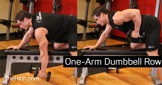 bài tập gym, cơ lưng giữa, cơ tay trước, cơ vai, cơ xô, tập thể hình, thể hình nam, thể hình nữ, one-arm dumbbell row – kéo tạ 1 tay tập cơ lưng giữa