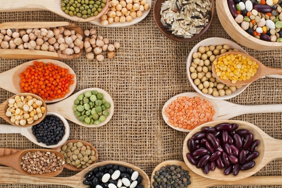 kiến thức thể hình, 22 nguồn protein thực vật cho người ăn chay tốt nhất