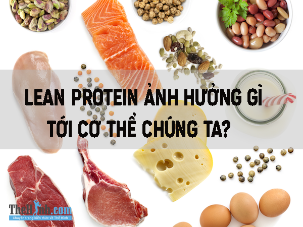 kiến thức thể hình, liệu chỉ ăn thức ăn chứa protein nạc thôi có tốt hơn hay không?