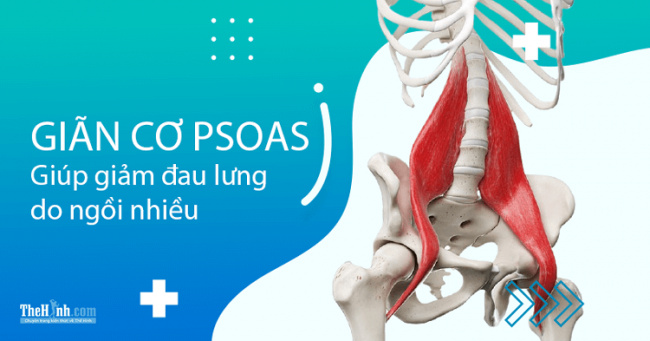 8 bài giãn cơ Psoas, giúp giảm đau lưng do ngồi nhiều