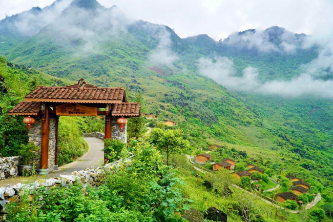 buckwheat field, terraced fields, unique resort, a “unique” resort with quaint-shaped houses in ha giang
