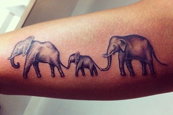 ý nghĩa hình xăm voi thần thái lan, mẫu tattoo con voi đẹp