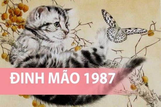 Đinh Mão sinh năm 1987 hợp hướng nào nhất?