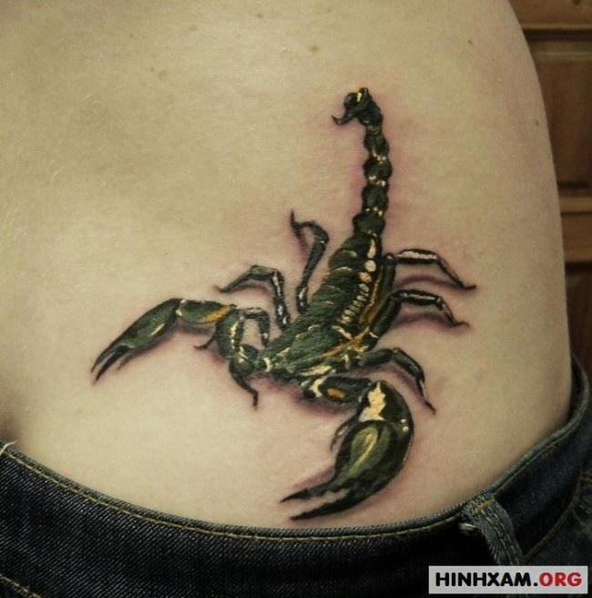 Các mẫu hình tattoo bọ cạp đẹp và ấn tượng nhất dành cho bạn