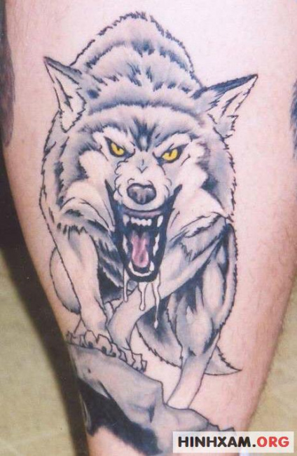 Minh Tú Tattoo  Xăm Hình Nghệ Thuật  Hình xăm chó sói ở ngực cho anh trai   𝗠𝗜𝗡𝗛 𝗧𝗨 𝗧𝗔𝗧𝗧𝗢𝗢  𝑻𝒂𝒄 𝒑𝒉𝒂𝒎 𝒉𝒊𝒏𝒉 𝒙𝒂𝒎  𝒕𝒉𝒖𝒄 𝒉𝒊𝒆𝒏 𝒕𝒂𝒊 𝑴𝒊𝒏𝒉 𝑻𝒖
