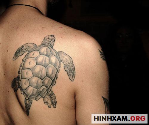hình xăm con rùa – nguồn cảm hứng vô tận của nghệ sĩ