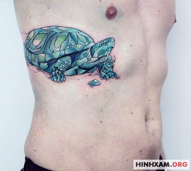 hình xăm con rùa – nguồn cảm hứng vô tận của nghệ sĩ