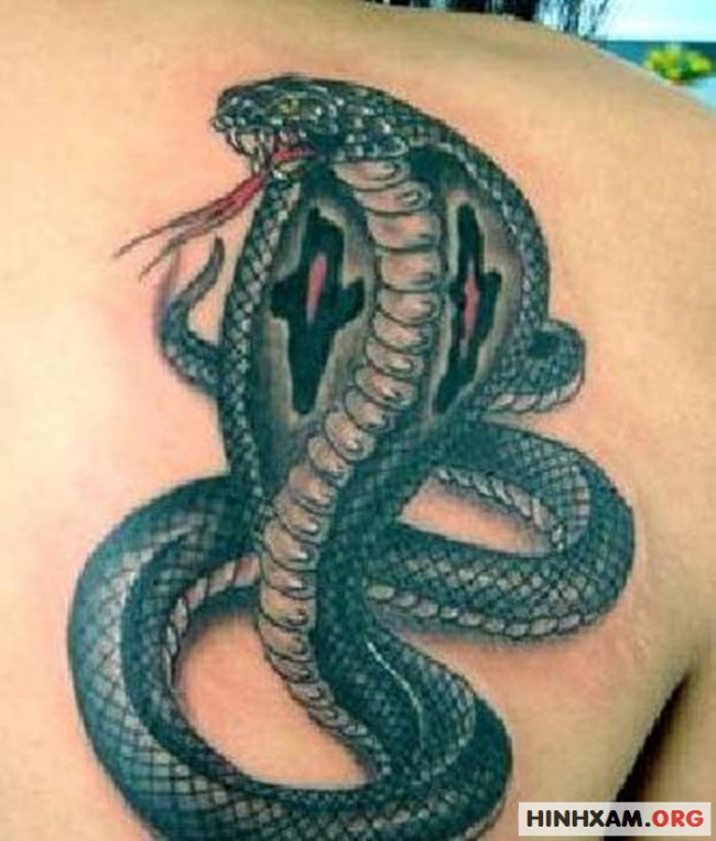 Ink yourself with a snake tattoo that will make heads turn. The 3D design will make it seem like the reptile is slithering across your skin, coiling around your arm, or striking with its venomous mouth. It\'s not for the faint of heart, but it\'s definitely a showstopper.