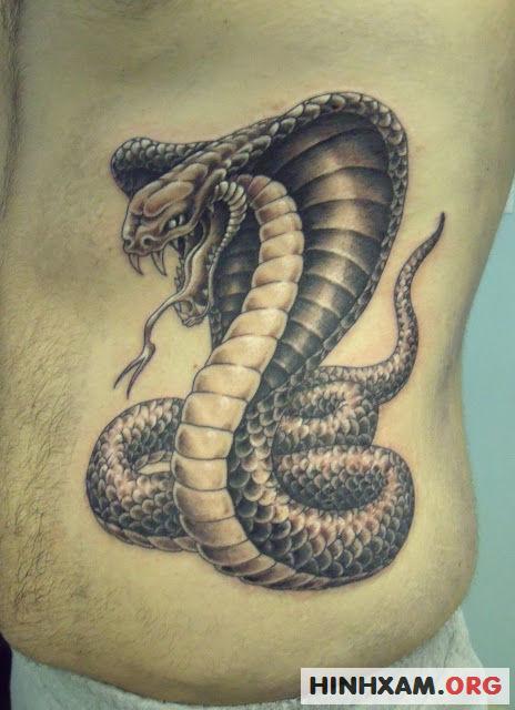 Ý nghĩa hình xăm rắn và top 99 mẫu hình tattoo rắn siêu đẹp và ấn tượng   Coolmate