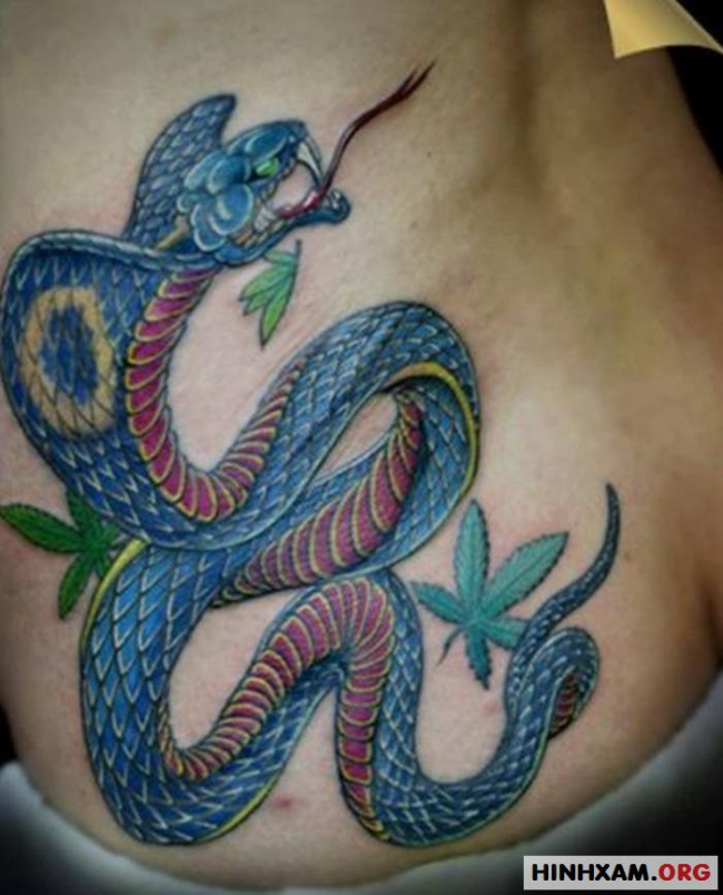 Tadashi Tattoo - Những điểm đặc sắc và hành trình đến những tác phẩm kinh  điển của nghệ sĩ Trung Tadashi. Nếu như chúng ta là những khách hàng am  hiểu về