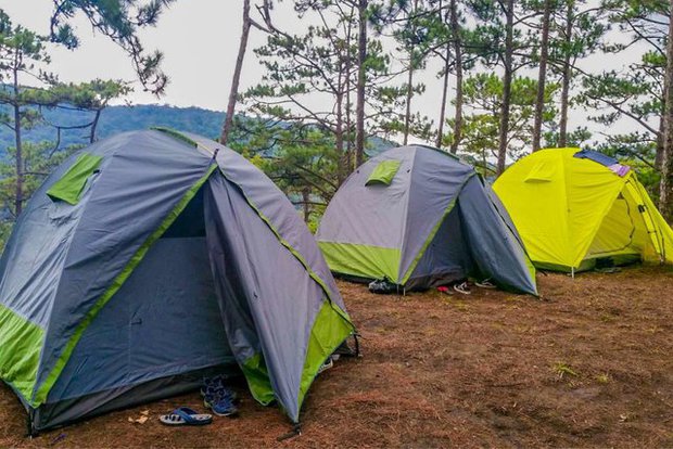 city center, da lat city, national park, nha trang beach, 6 most beautiful camping sites in da lat: place number 3 is also known as ‘the cloud hunting sanctuary’